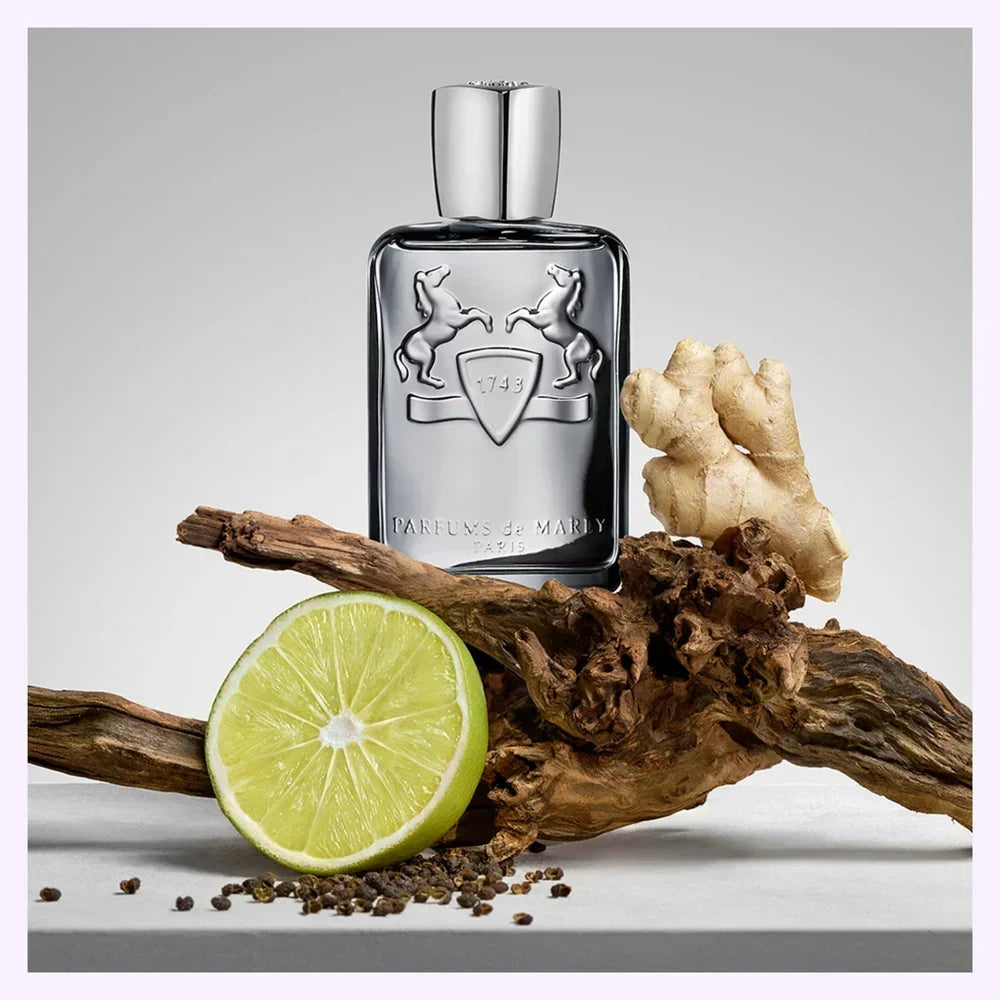Parfums de Marly Castley 4.2 fl oz / 125 ml – Elegant Men Eau de Parfum, Fast USA Ship